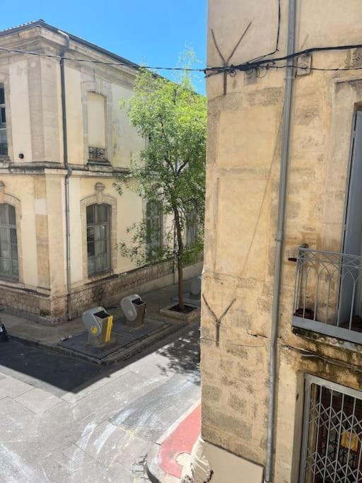Appartement Cocon Ecusson Montpellier Extérieur photo